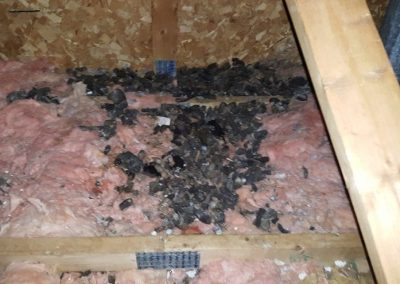 Attic Ventilation Ottawa