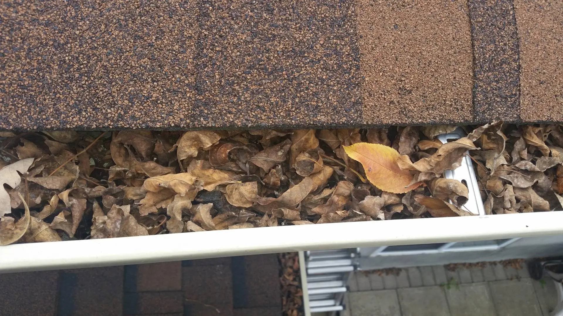 Gutter Guards & Cleaning Services Ottawa
