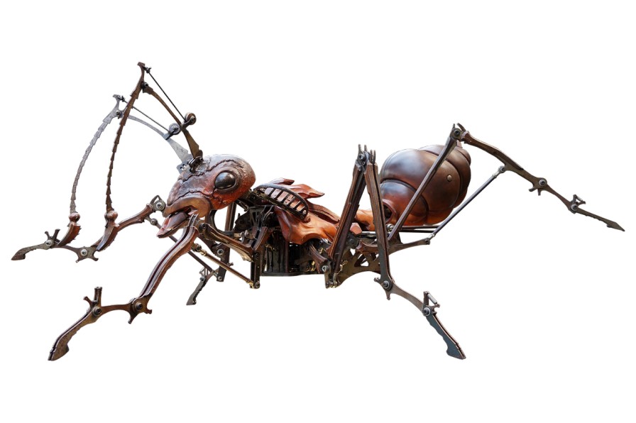 Acrobat ant