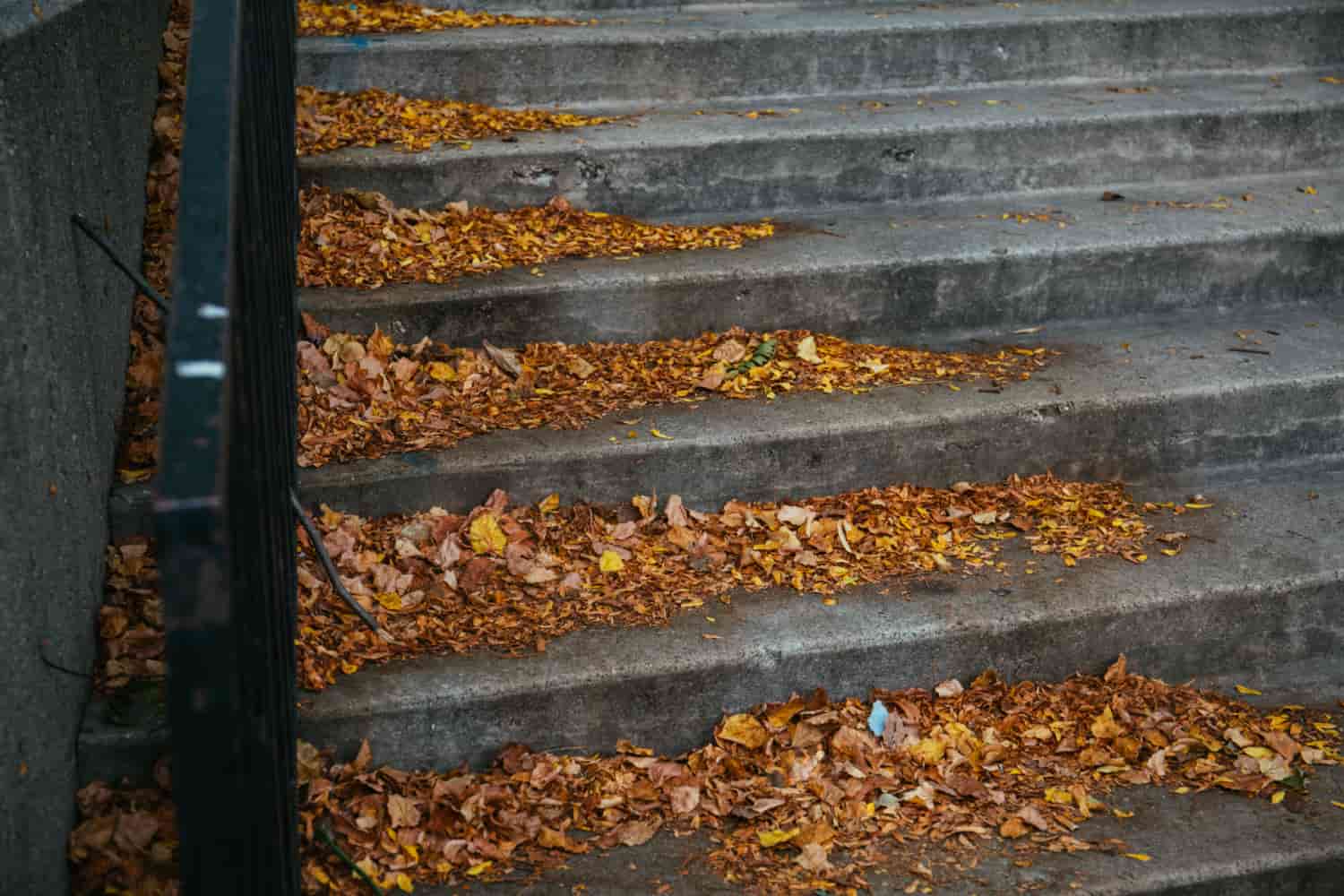 Gutter Guards & Cleaning Services Ottawa